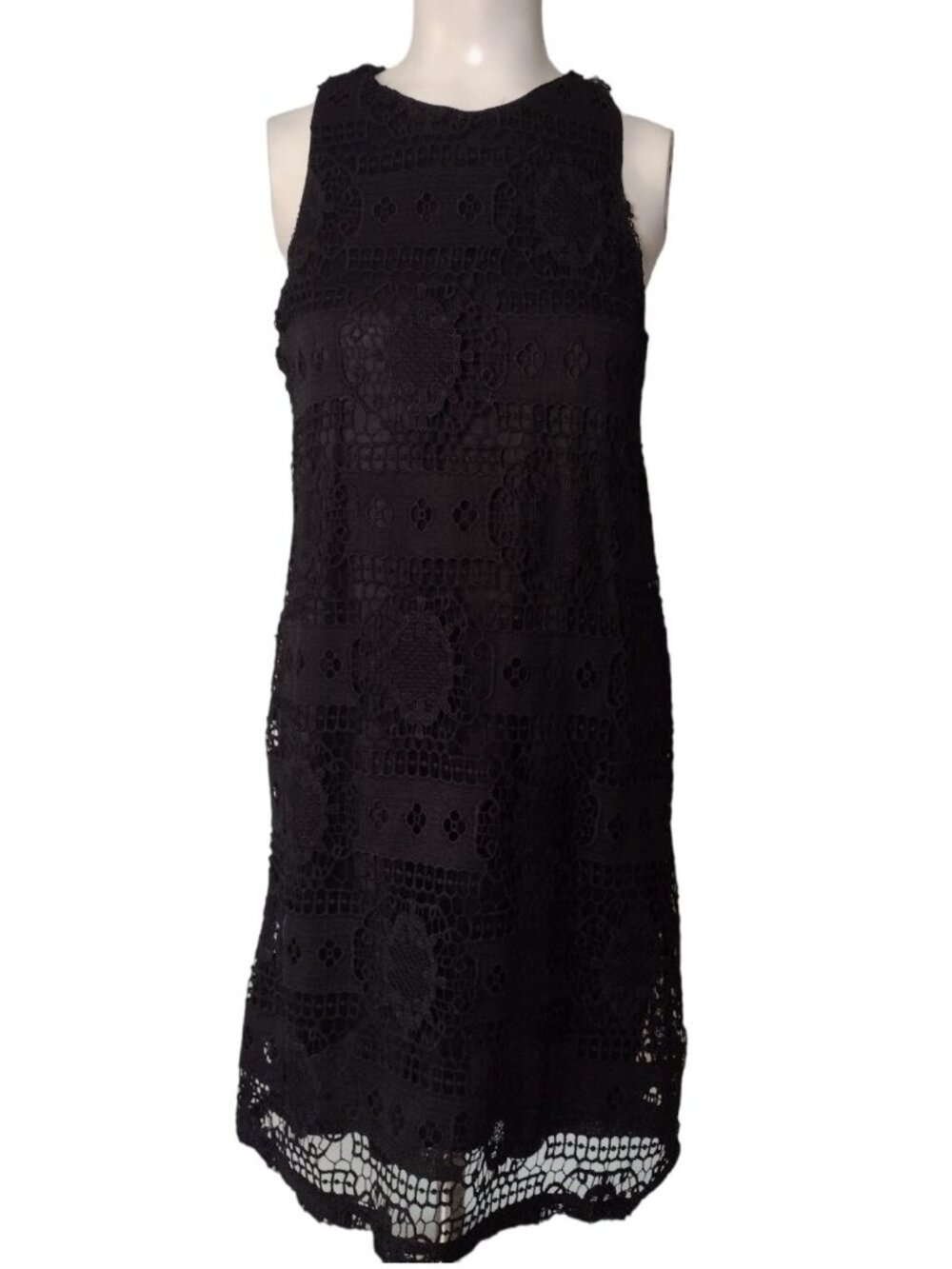 NWT Francescas Mi Ami Crotchet Lace Overlay Dress S L Dark Romantic Whimsigoth